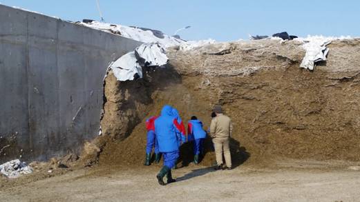 frozen silage